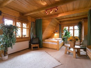 Villa Pod Nosalem