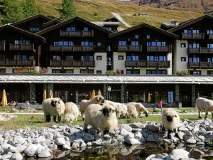 Riffelalp Resort 2222 M